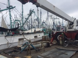 Contentos van al barco..