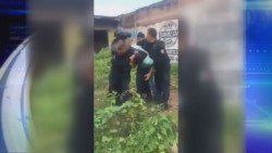 Ciudadanos no deben interferir con la actividad policial