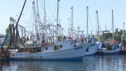 Pescadores denuncian abandono de parte de la autoridad
