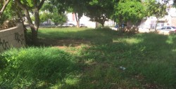 Vecinos de la colonia Nuevo Culiacán pide ayuda a el Ayuntamiento