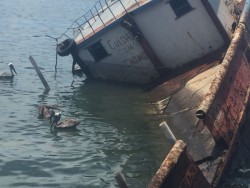 Barcos hundidos generadores de insalubridad
