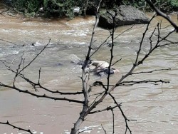 Encuentran cadáver flotando en canal