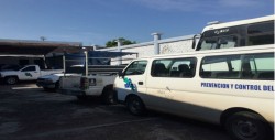 Paran labores personal de vectores en Culiacán