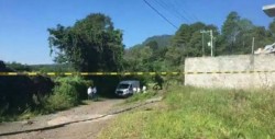 Localizan 7 cuerpos descuartizados en Uruapan