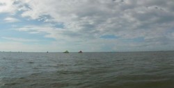 Carecen de apoyos para el diesel pescadores de altamar