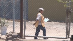 Inicarán jornadas de fumigación contra el mosco transmisor del dengue