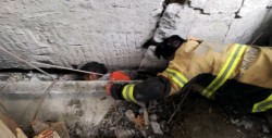 Reportan 77 muertos y personas atrapadas tras sismo