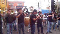 Bandas y norteños se unen en pro de México
