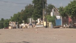 Denuncian que acumulación de objetos en domicilio causa proliferación de animales