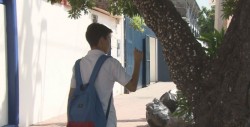 ¿Conoce el árbol para pegar goma de mascar ?
