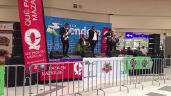 Música a favor de damnificados