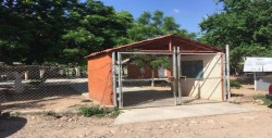 Denuncian brote de hepatitis en Primaria Cristóbal Colón