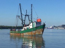 Llegan primeros barcos "ponchados"