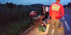Muere atropellado en carretera internacional