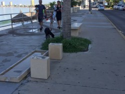 Bancas en mal estado sobre el malecón