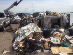 Mucha basura en el muelle del parque Bonfil