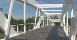 Ya no tiene luces el Puente Bimodal frente al Zoológico