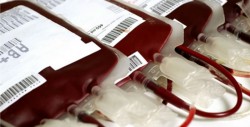 Sólo 2.3% de los mexicanos donan sangre de manera altruista