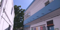 Realizan trabajos para prevenir desprendimientos en la Álvaro Obregón