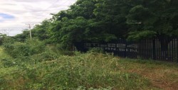 Solicitan limpieza a un costado del CBTIS 224 frente al Internado infantil DIF