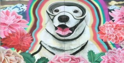 Mural dedicado a Frida, la perrita rescatista