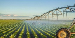 Negociaciones en TLCAN siguen siendo positivas para sector Agropecuario