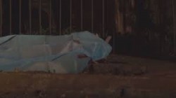 Ordenes de Protección es lo que está fallando en la alerta de género: Diva Gastélum