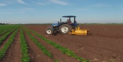 Acercan los servicios de Desarrollo Rural a Productores