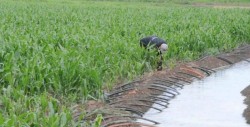 Problema de México en materia de agua es la gobernanza
