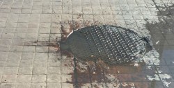 Fuga de aguas negras en esquina de Ramón Corona y Colón