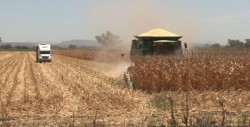 Están tratando Gobierno Federal  de no pagar adeudos pendientes