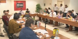 Aprueba IEES lineamientos para candidatos independientes