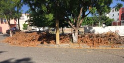 Denuncian abandono de las Autoridades en el Infonavit Humaya