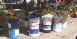 Dan a conocer precios de flores para el día de Muertos