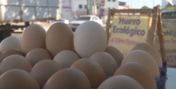 Crece el interés de la población por el consumo de huevos ecológicos
