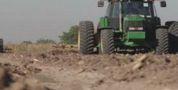 Aplican labranza cerca de 300 mil hectáreas en Sinaloa