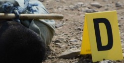 Encuentran 6 personas sin vida con huellas de tortura