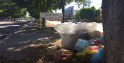 Sigue la basura en el camellón por Enrique Félix Castro
