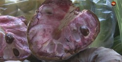 Ilama ,  fruta exótica de temporada