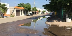 Fuga de agua en la Calle Azalea en Fraccionamiento Terranova