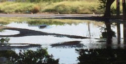 Gran fuga de agua en el Fraccionamiento Valles del Sol
