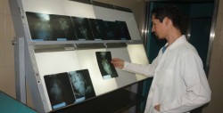 Diagnóstico médico oportuno es fundamental