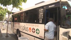 Urge reordenamiento del transporte urbano
