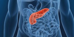 Pancreatitis es una enfermedad delicada