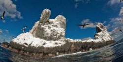 EPN firma decreto del Parque Nacional de Revillagigedo