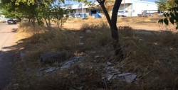 Solicitan limpieza de área verde en la colonia Ampliación Humaya