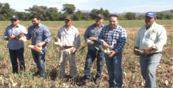 Mazatlán se fortalece en materia agrícola