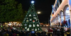 Enciende la U.A.S. su árbol navideño