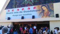 PROFECO realizará operativo el 12 de noviembre
