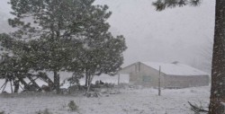 Se mantienen temperaturas de menos 5 grados